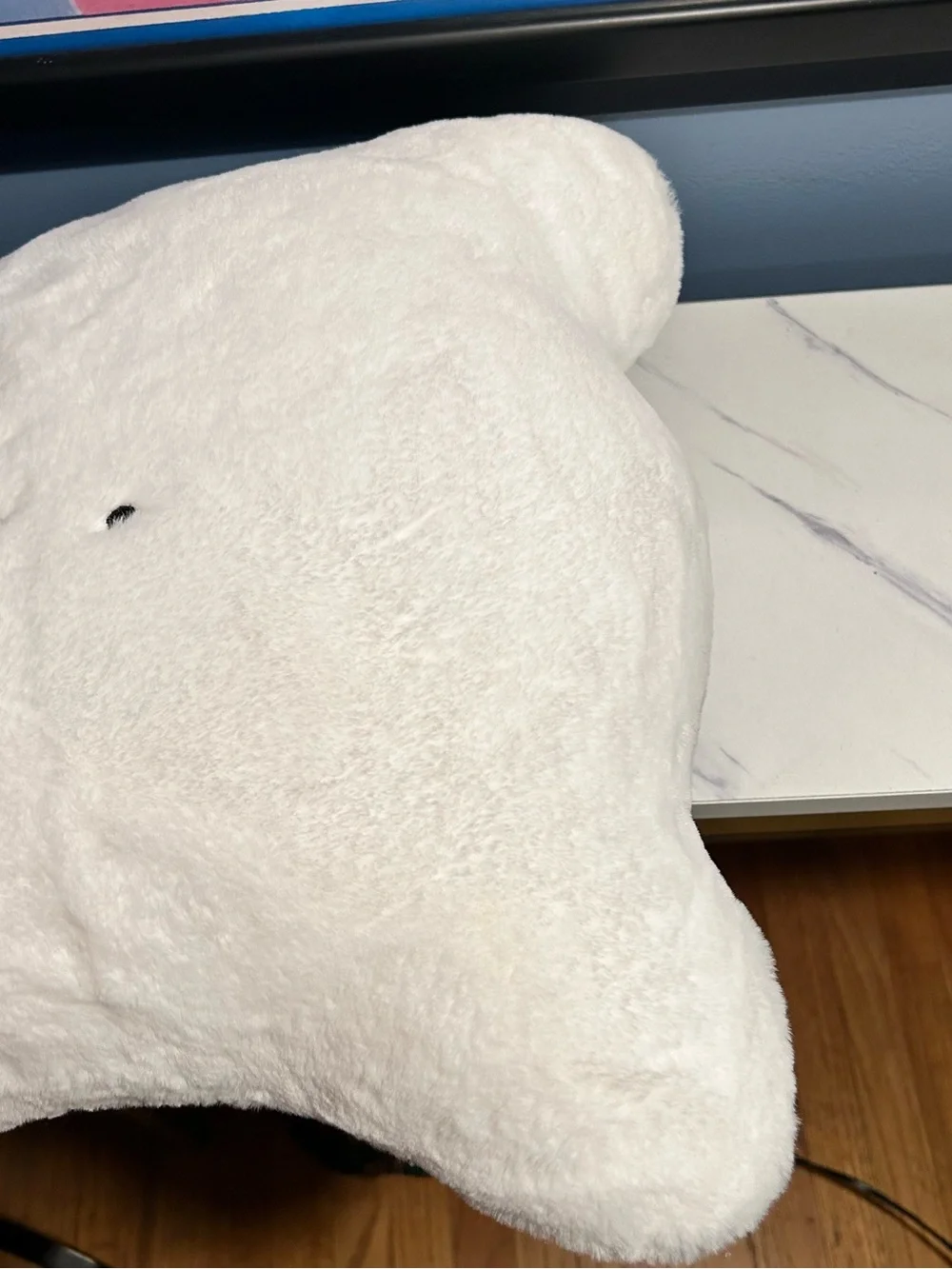Burlington family ghost pillow